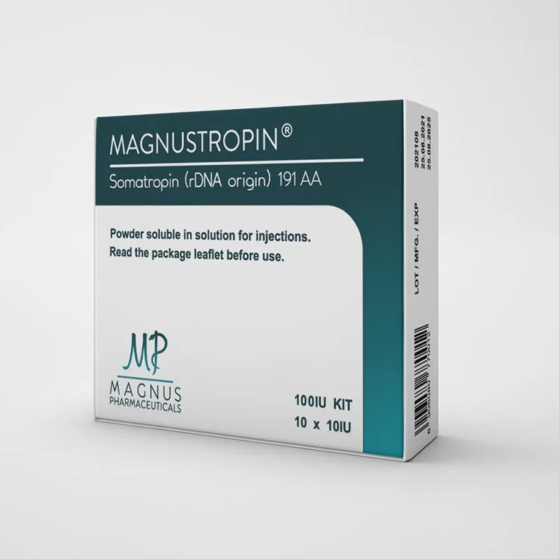 №6 Gain Mass Course – Magnus image 2